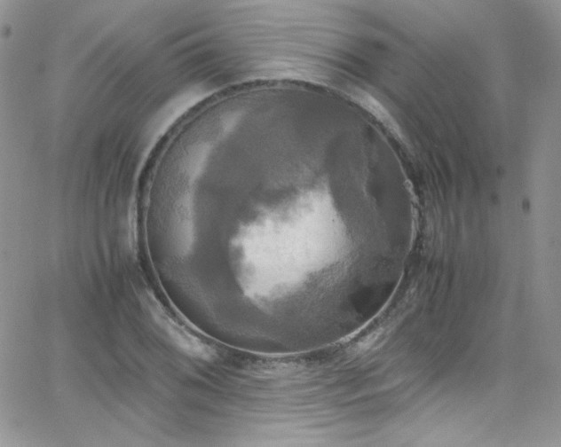 X0000066521076200603201317