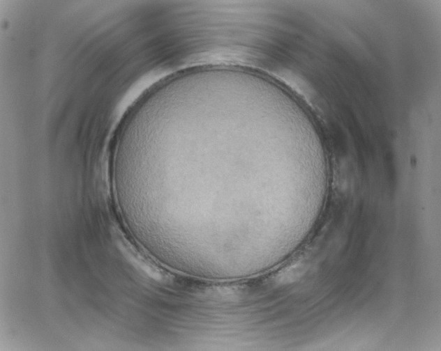 X0000066521078200603201317