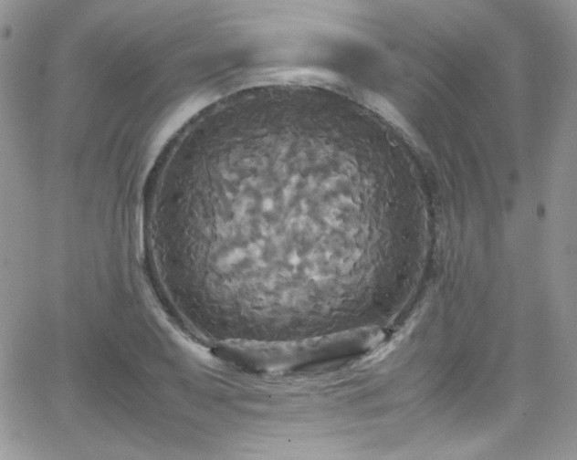 X0000066521079200603201317