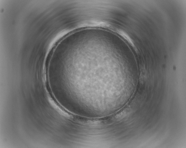 X0000066521080200603201317