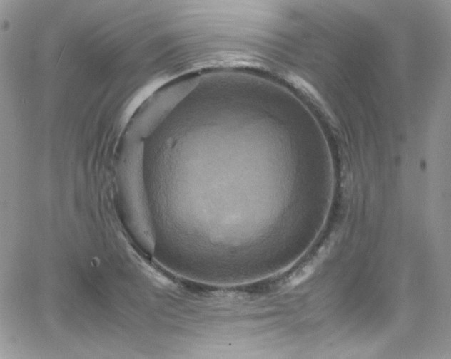 X0000066521081200603201317