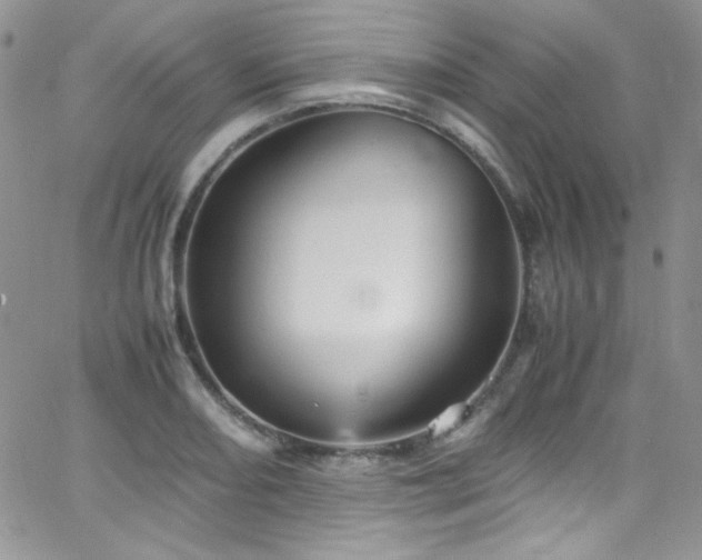 X0000066521082200603201317