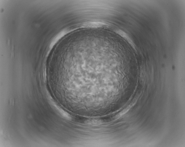 X0000066521083200603201317