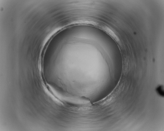 X0000066521084200603201317