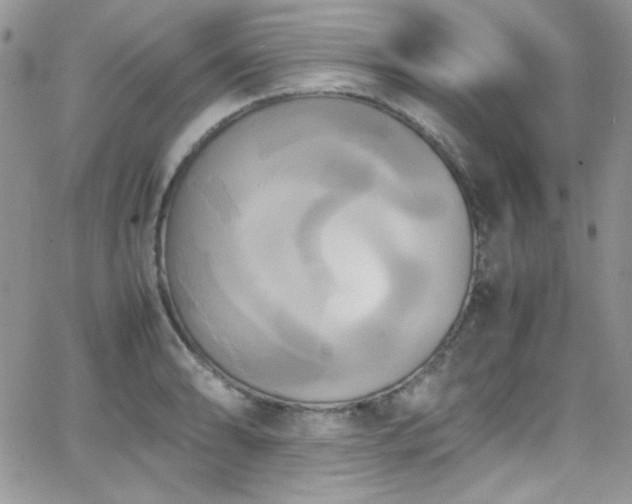 X0000066521086200603201317