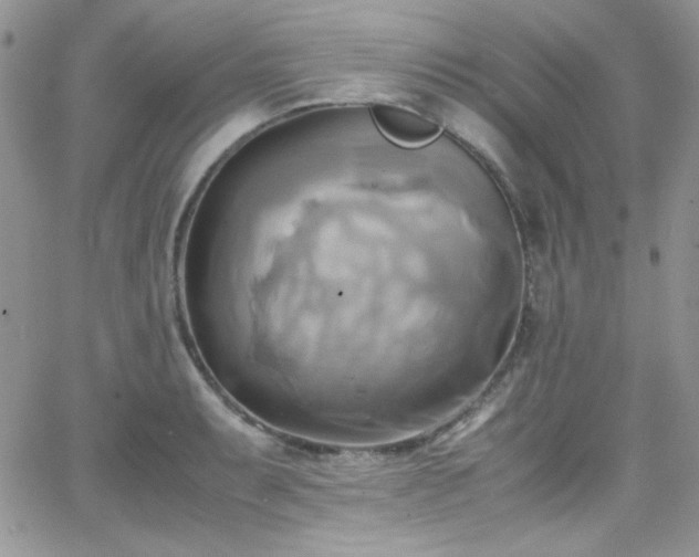 X0000066521087200603201317