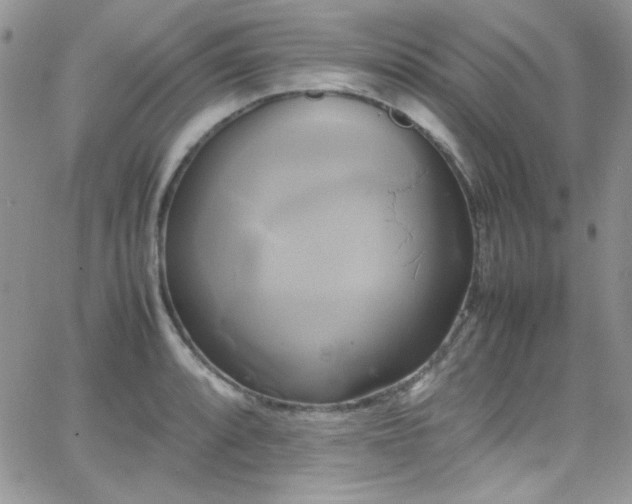 X0000066521088200603201317