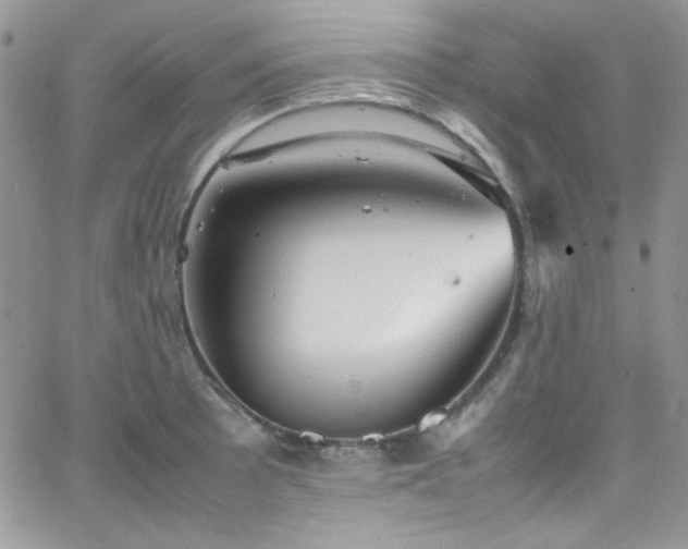 X0000066521089200603201317