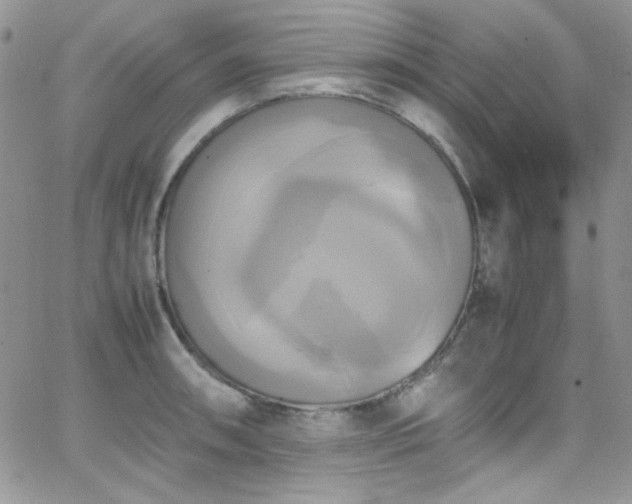 X0000066521090200603201317