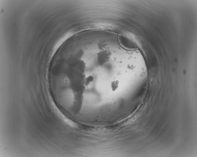 X0000066521091200603201317