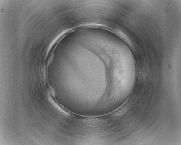 X0000066521092200603201317