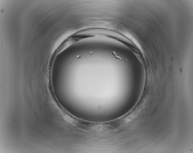 X0000066521093200603201317