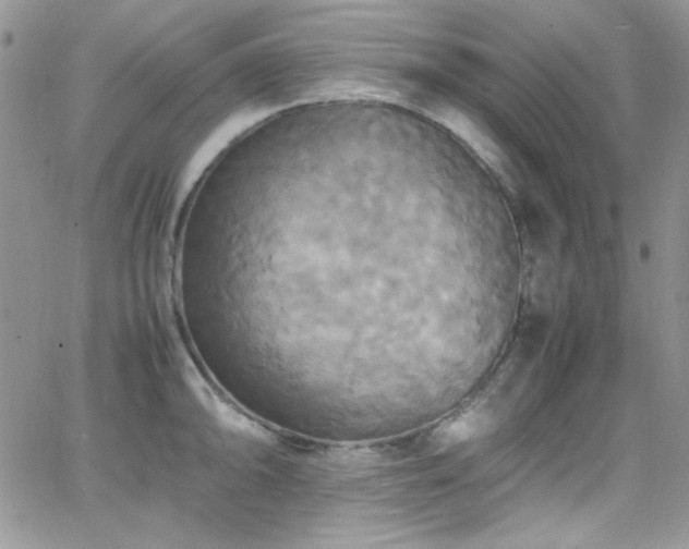 X0000066521094200603201317