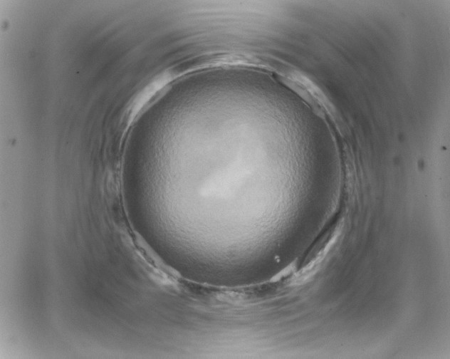 X0000066521097200603201317