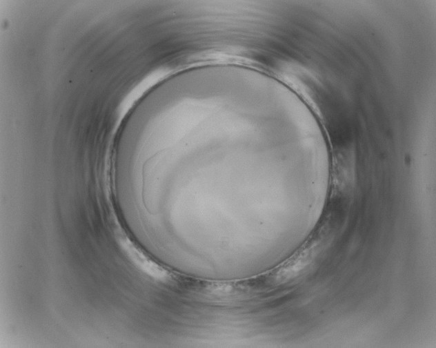 X0000066521098200603201317