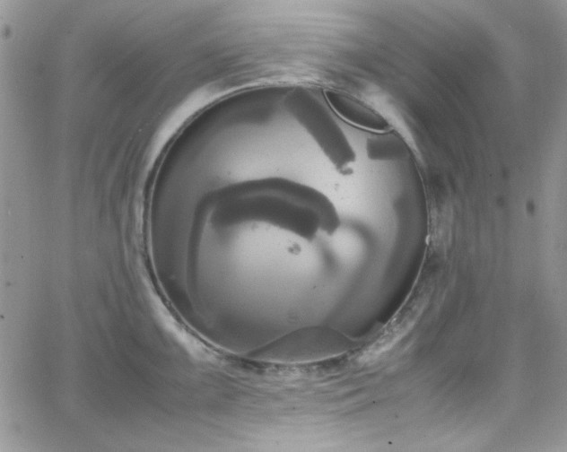 X0000066521099200603201317