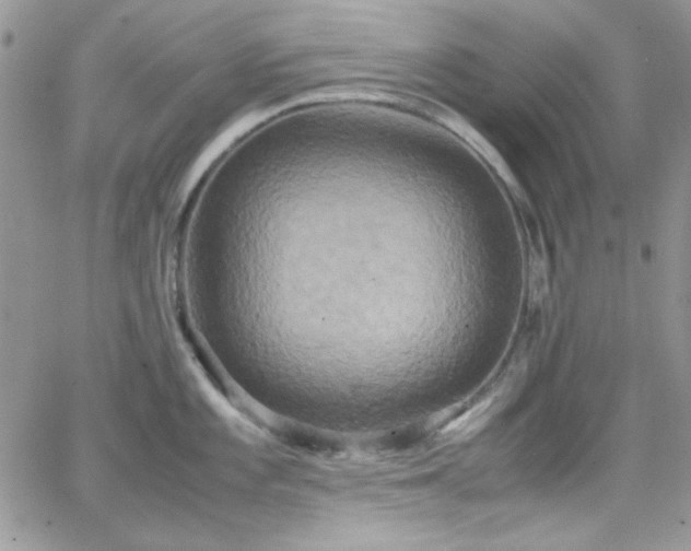 X0000066521101200603201317