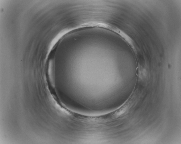 X0000066521102200603201317