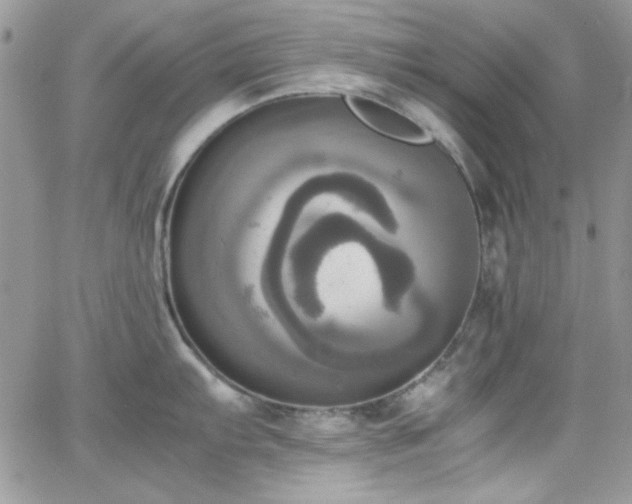 X0000066521103200603201317