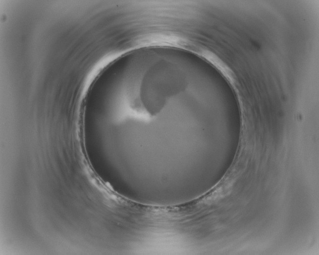 X0000066521104200603201317