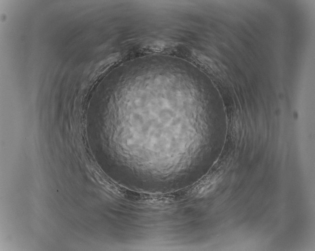 X0000066521105200603201316