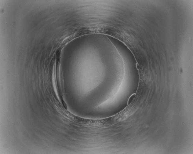 X0000066521106200603201316