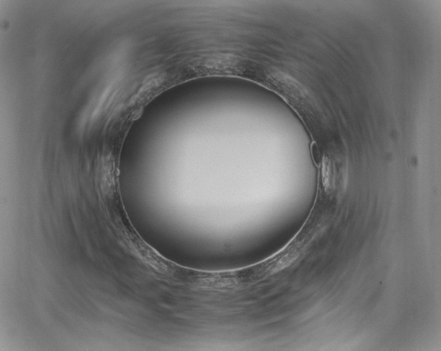 X0000066521107200603201316