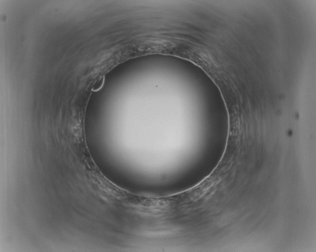 X0000066521109200603201316