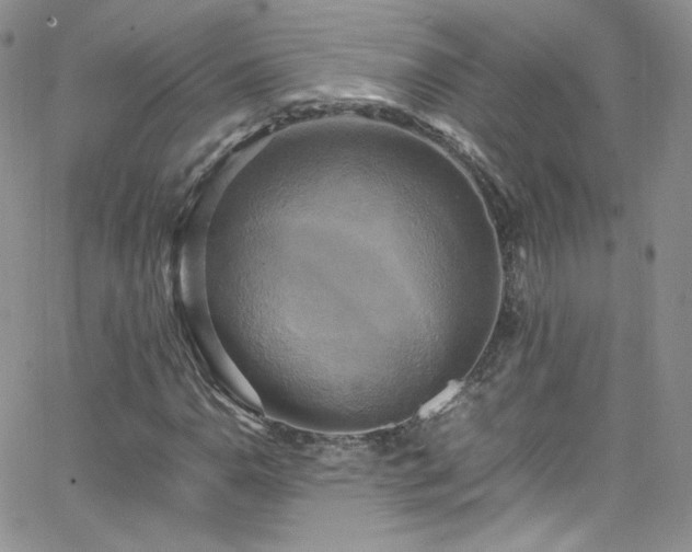 X0000066521110200603201316