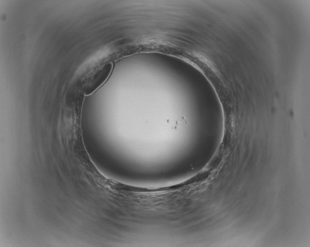 X0000066521111200603201316