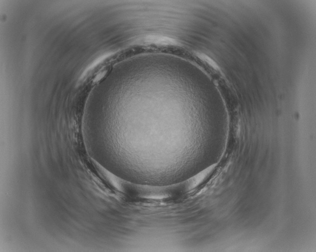 X0000066521112200603201316