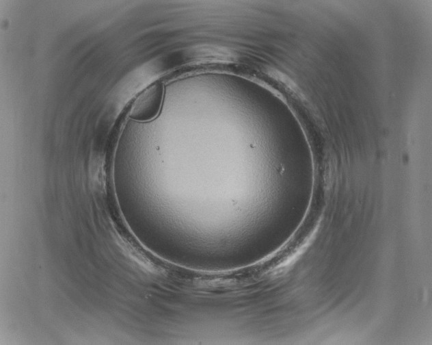 X0000066521113200603201316