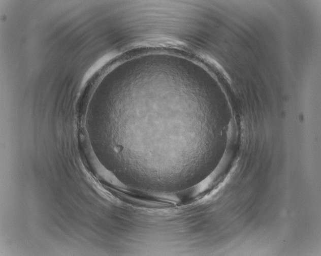 X0000066521114200603201316