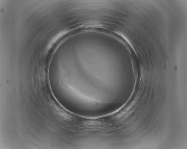 X0000066521115200603201316