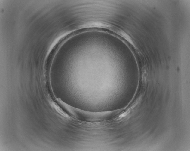 X0000066521116200603201316