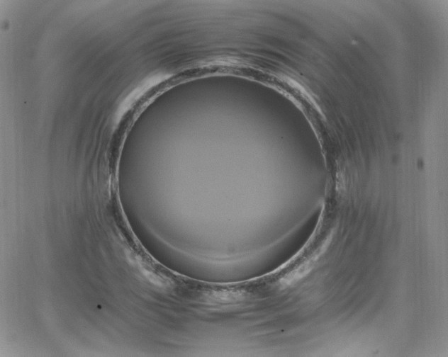 X0000066521117200603201316