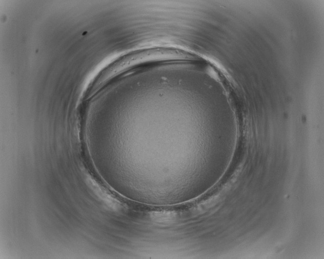 X0000066521118200603201316