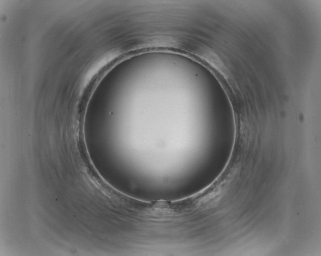 X0000066521119200603201316