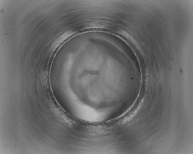 X0000066521121200603201316