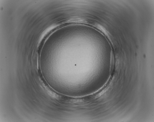 X0000066521123200603201316