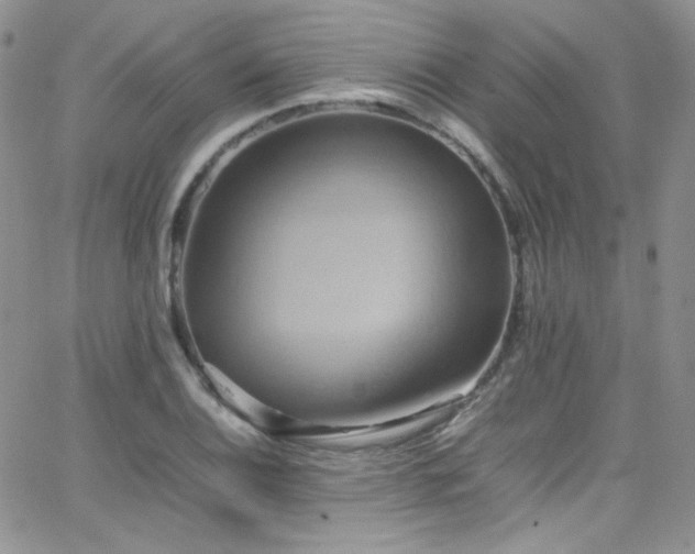 X0000066521124200603201317