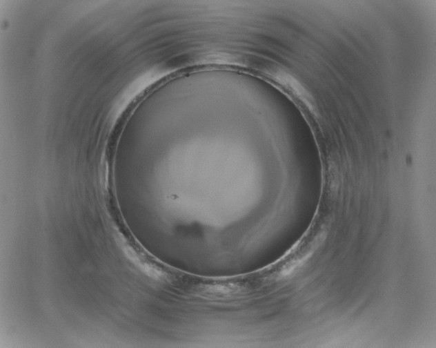 X0000066521125200603201317