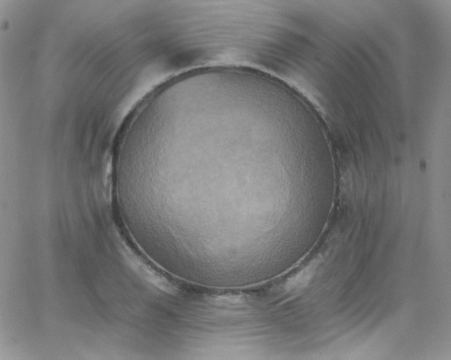 X0000066521126200603201317