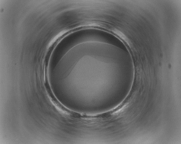 X0000066521127200603201317