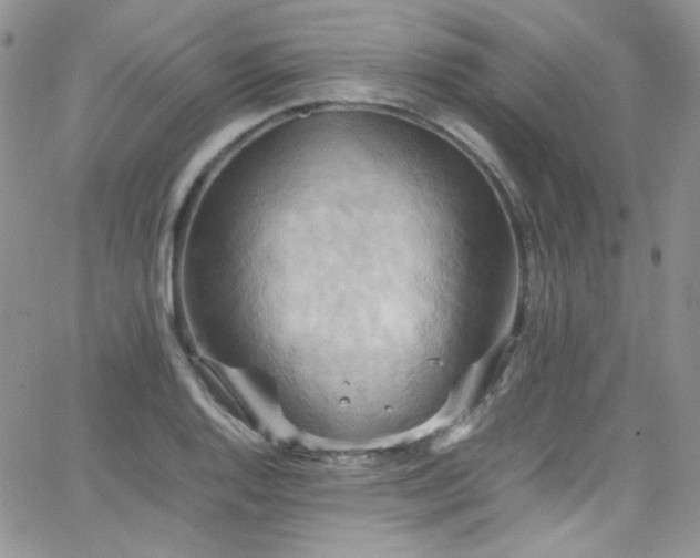 X0000066521128200603201317