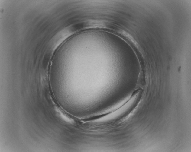 X0000066521129200603201317