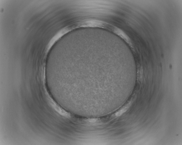 X0000066521130200603201317