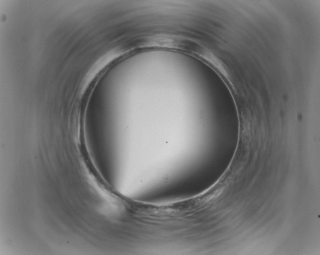 X0000066521131200603201317