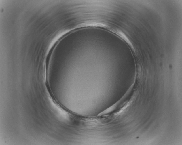 X0000066521132200603201317