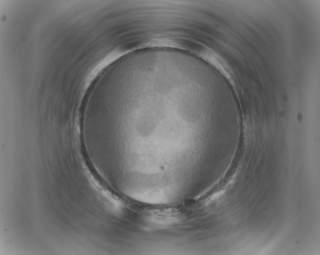 X0000066521133200603201317